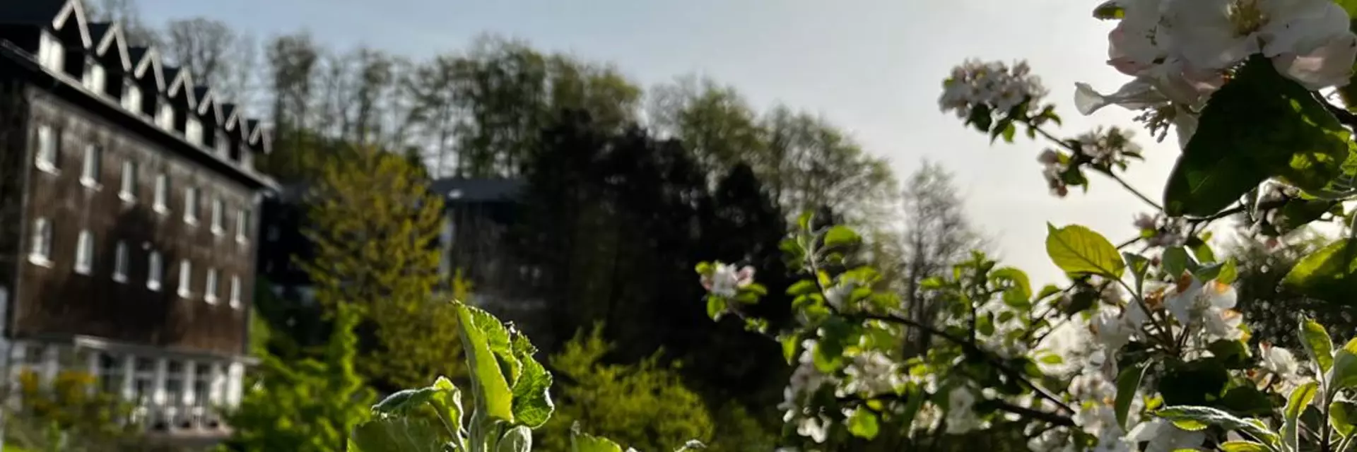 UNIVITA Gut Holmecke umrandet von Knospen im Frühling