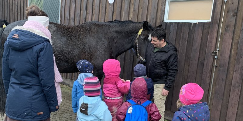 Die Kinderbetreuung besucht gemeinsam ein Therapiepferd auf Gut Holmecke